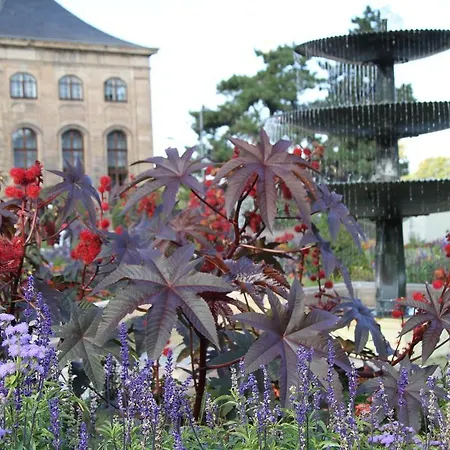 Nelkenberg 3-wohnen In Eberts Kaffeerosterei * غوتا
