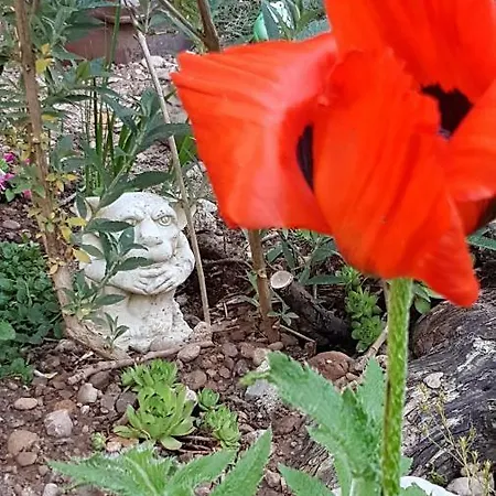 شقة Nelkenberg 3-wohnen In Eberts Kaffeerosterei *