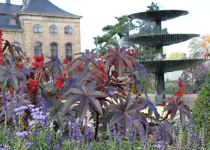 Nelkenberg 3 * Gotha