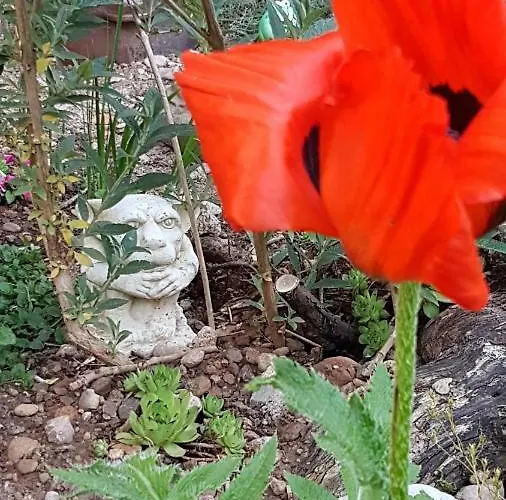 Appartement Nelkenberg 3 *